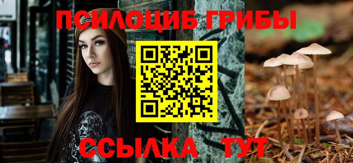 Псилоцибиновые грибы Psilocybine cubensis  Вход с VPN  Псилоцибиновые грибы Magic Shrooms  Шали 