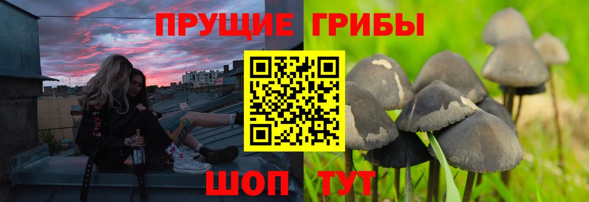 Галлюциногенные грибы MAGIC MUSHROOMS Шали